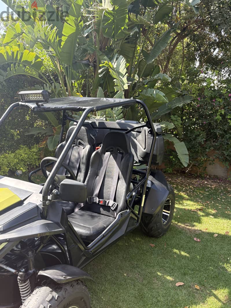 Buggy 2