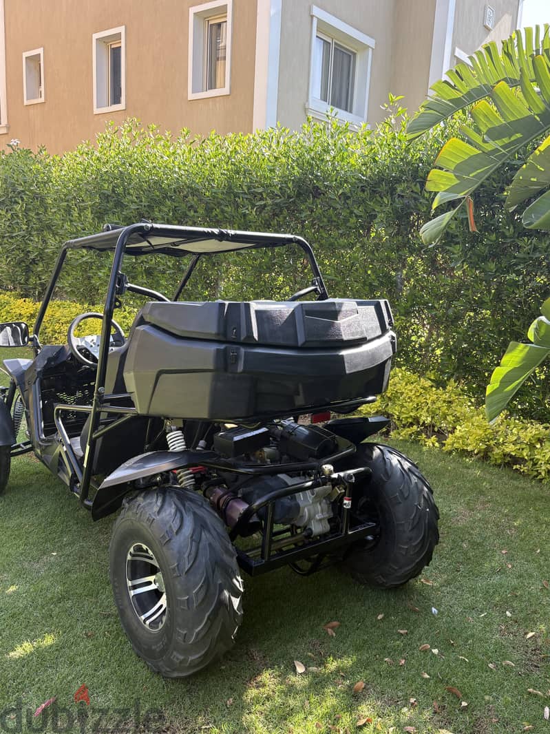 Buggy 3