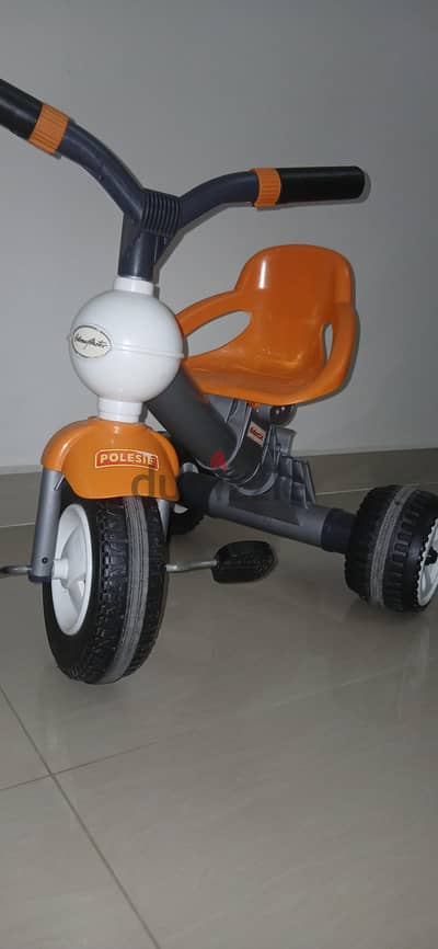 Polesie Didactic Series Tricycle