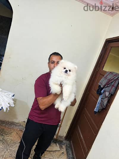 ولد بومارينين