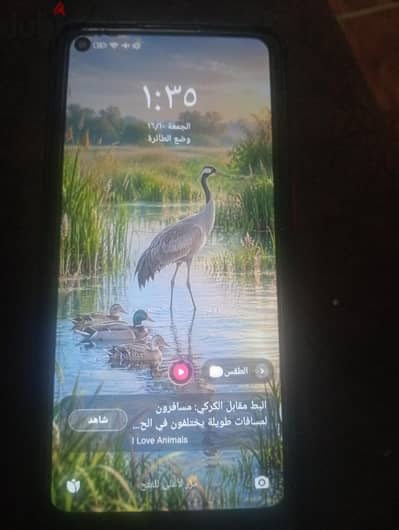 شاومي ردمي 15 5G