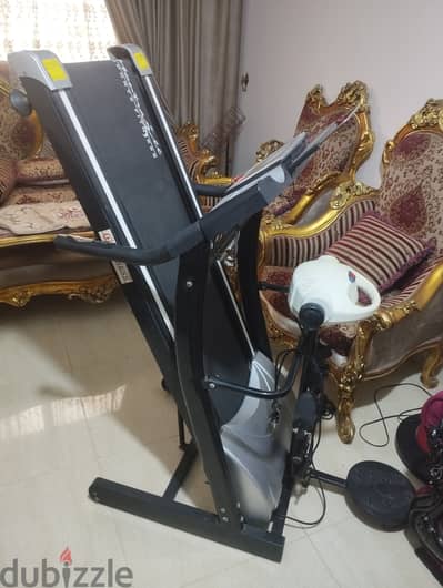 الزقازيق  الشرقيه