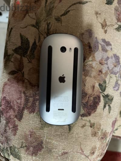 Magic Mouse 2