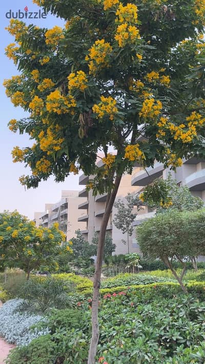 Penthouse delivery in 6 months, for sale in Mostaqbal City, next to Madinaty, area 370 meters + terrace 170 meters with landscape view