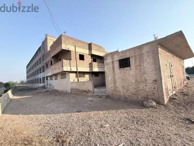 مزرعه دواجن