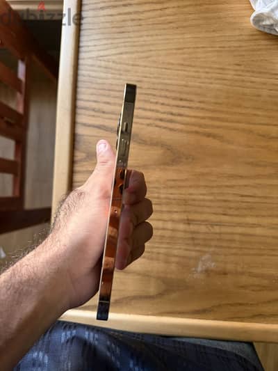Apple - iPhone 13 Pro Max