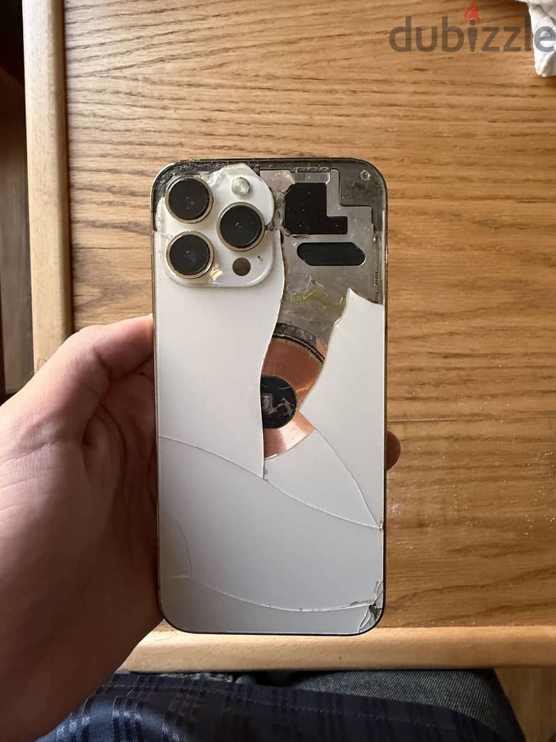 Apple - iPhone 13 Pro Max 1