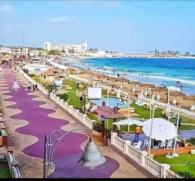 شقة للايجار فى المعمورة الشاطئ