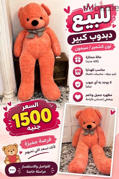 دبدوب كبير للبيع – لون سيمون مميز يعتبر جديد