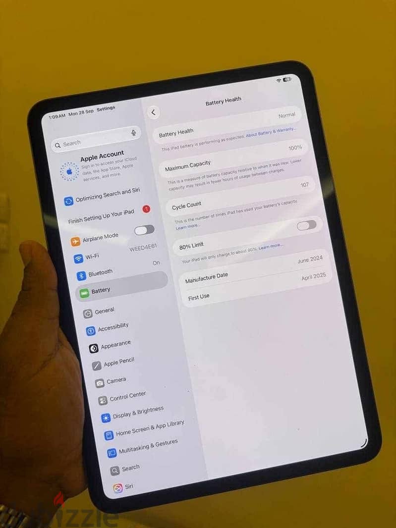 Ipad pro m4 B:100% 2