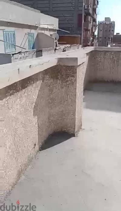 روف لبيع في النخيل
