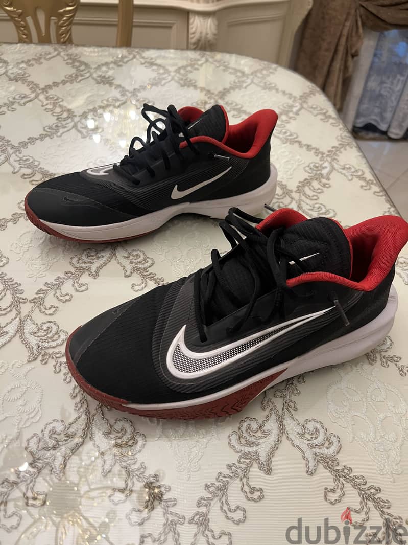 Nike shoes 1