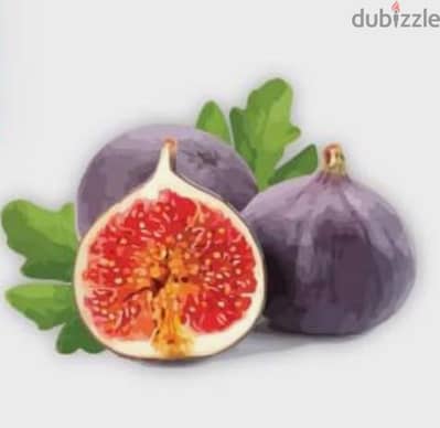 نجفتين زي بعض استعمال نضيف الاتنين ب ٥٠٠