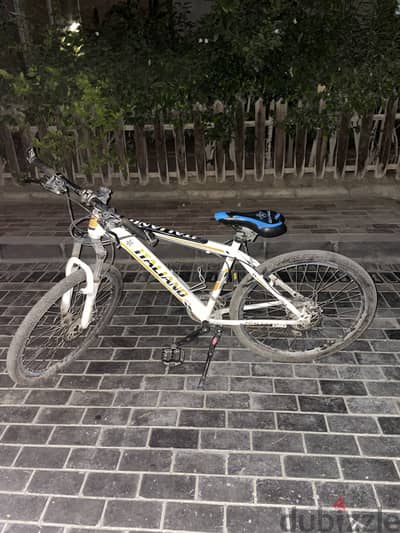 Italiano bicycle