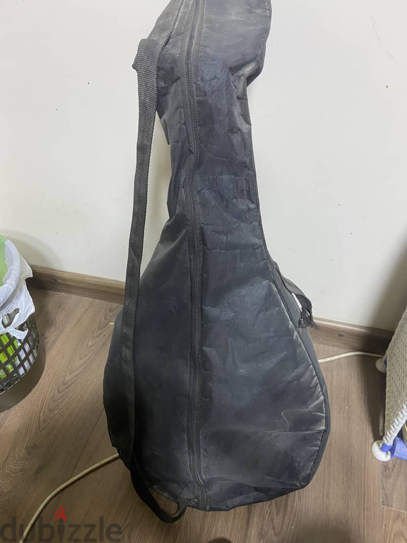 Guitar -Oud 2