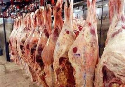 مطعم 300 م للايجار بالفرش والأجهزة تشطيب سوبر لوكس يوجد جميع المرافق مياه وكهرباء وغاز طبيعى وحمام بالإسكندرية العجمي الكيلو 21 بموقع متميز جدا