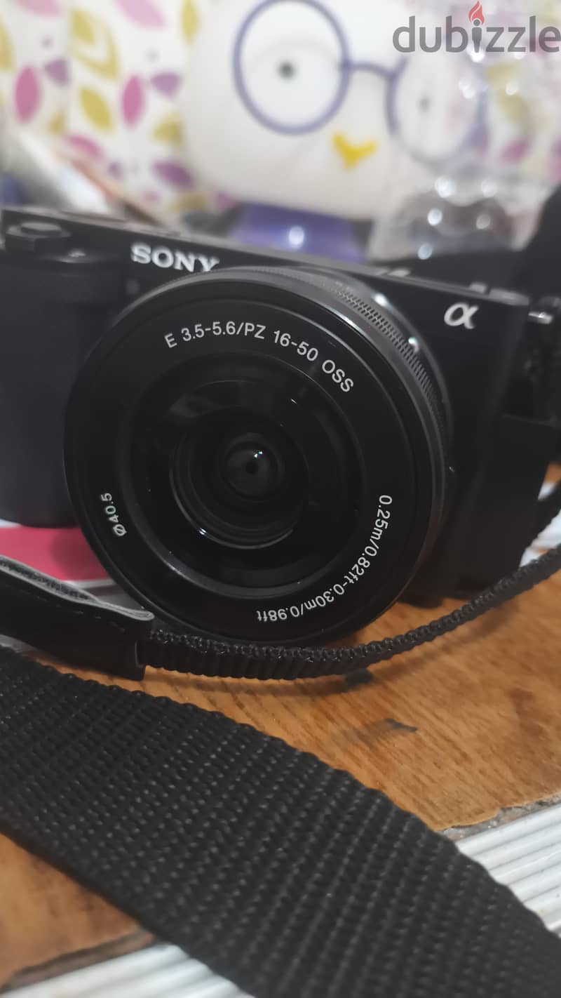 Sony ZV E-10 2