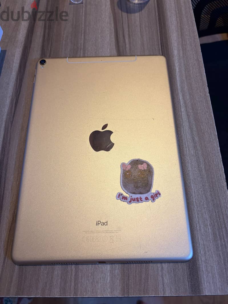 Ipad 2017 pro 1