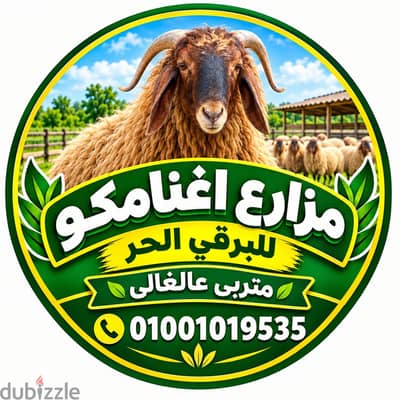 خروف برقى حر