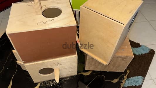 عشوش جديده