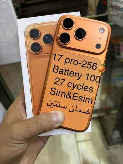 17 pro-256