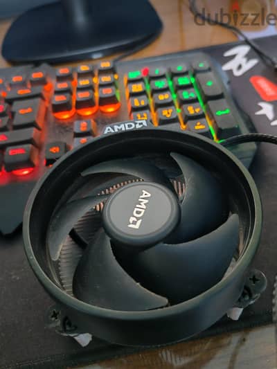 amd stock fan