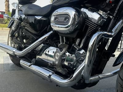 2013 Harley-Davidson Sportster 1200 Custom (XL1200C)
