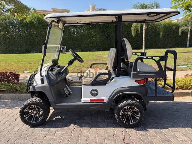 Golf Car Raya - Wind 1