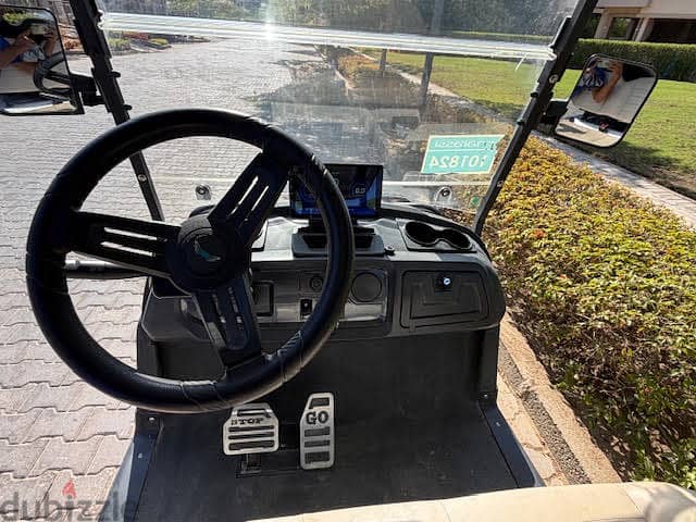 Golf Car Raya - Wind 3