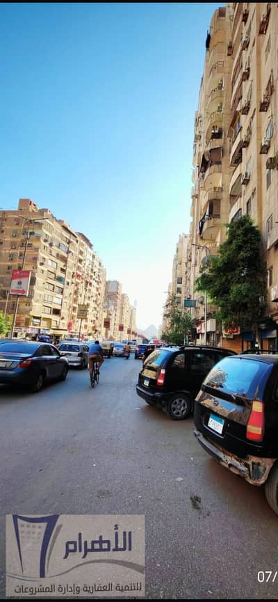 Licensed and leased management balance for 115,000 Egyptian pounds monthly
