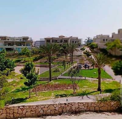 Premium Villa for Sale in Tilal El Gezira Compound, Sheikh Zayed | 550 sqm Land | 585 sqm BUA | Basement & Roof | EGP 35M Premium Villa for Sale in Tilal El Gezira Compound, Sheikh Zayed | 550 sqm Land | 585 sqm BUA | Basement & Roof | EGP 35M