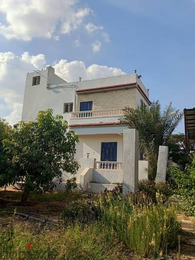 مزرعه للبيع