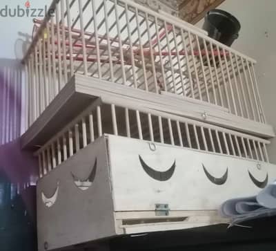 سوهاج مركز ساقلتة