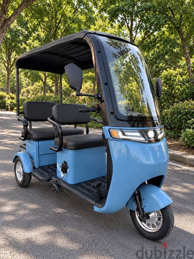 جولف كار Mini Golf Car