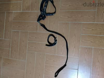 طوق+صداره للكلاب