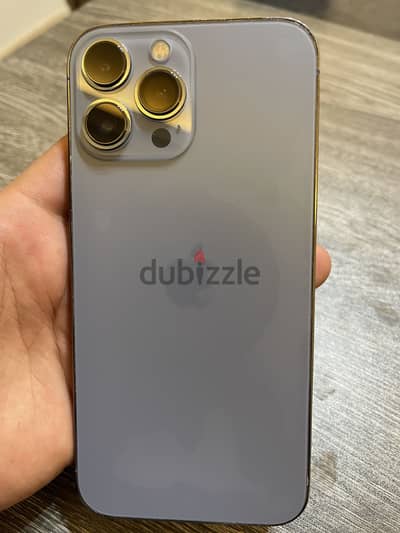 iPhone 13 Pro Max 256