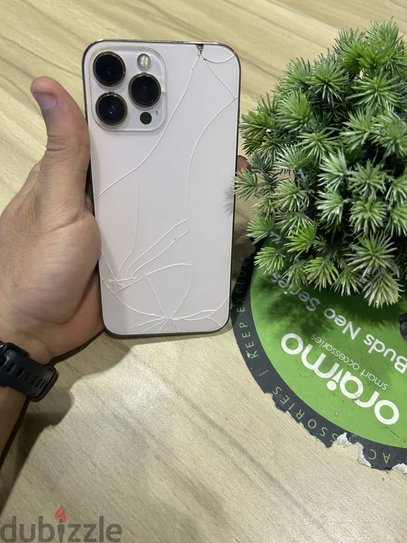 Apple - iPhone 13 Pro Max 2