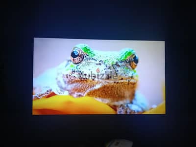 مدينه الابطال بحلوان