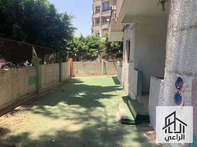  Exceptional Rental Opportunity in Nasr City, 8th District | Ground-Floor Apartment with a Large Garden – Ideal for Residential or Administrative Us