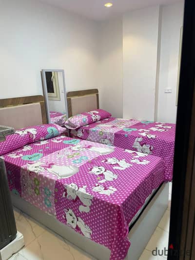 Studio for rent furnished double room, bathroom, and kitchen, first neighborhood, fifth adjacent.