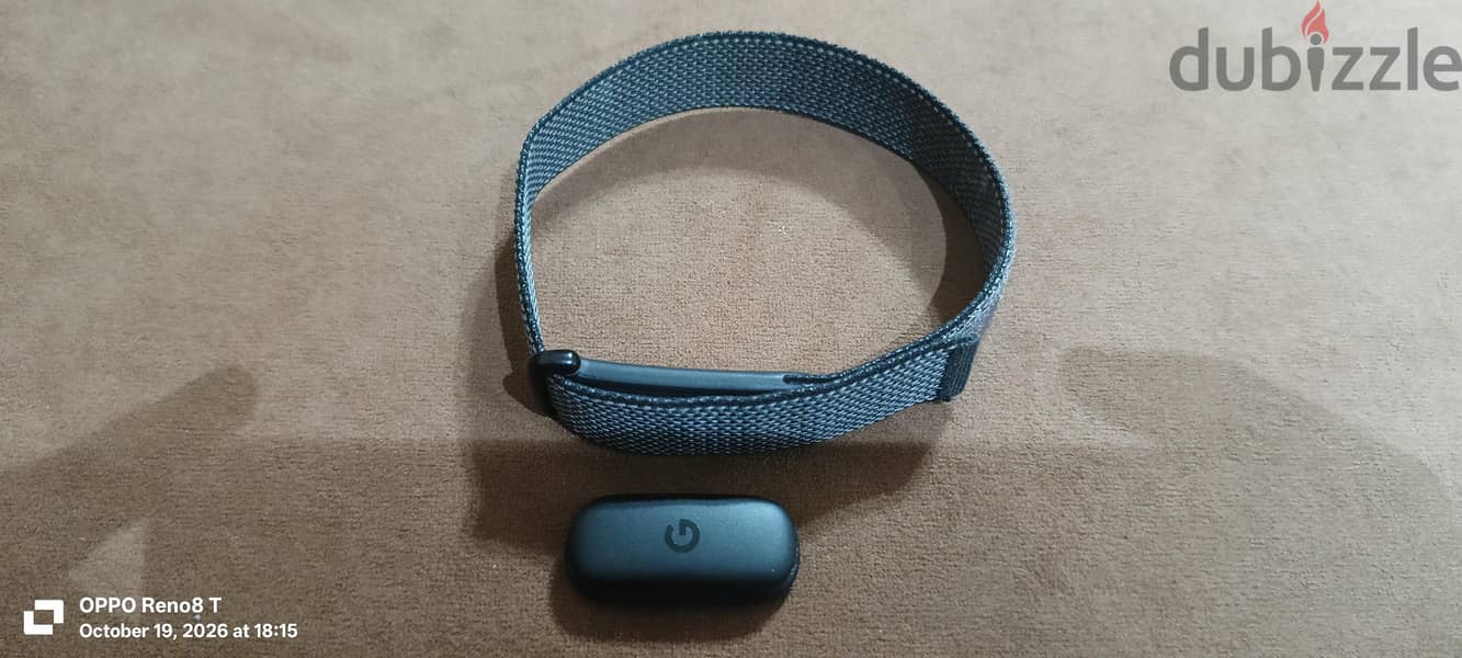 google fitbit 4