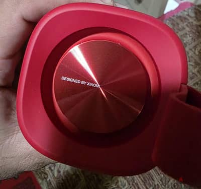 Xiaomi sound outdoor 30W   شاومي ساوند اوت دور ٣٠ وات