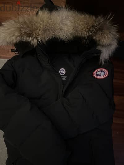 size medium large