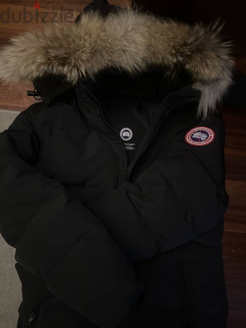 size medium large 2