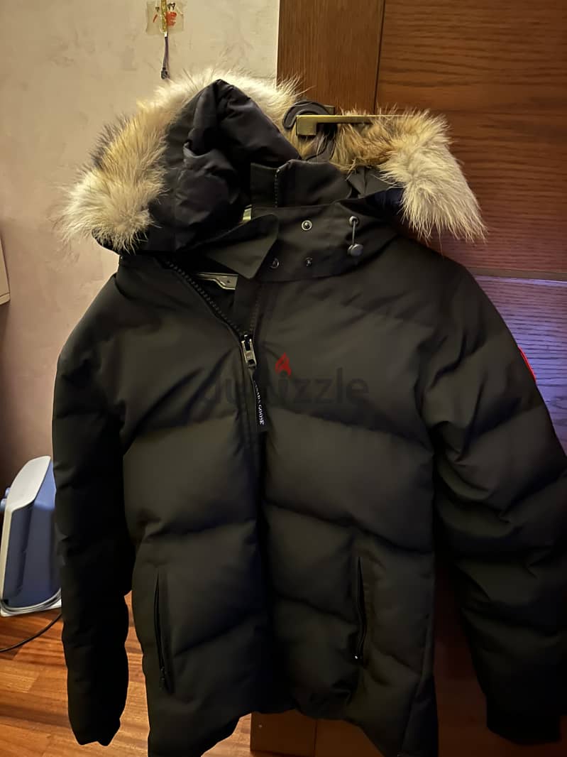 size medium large 5