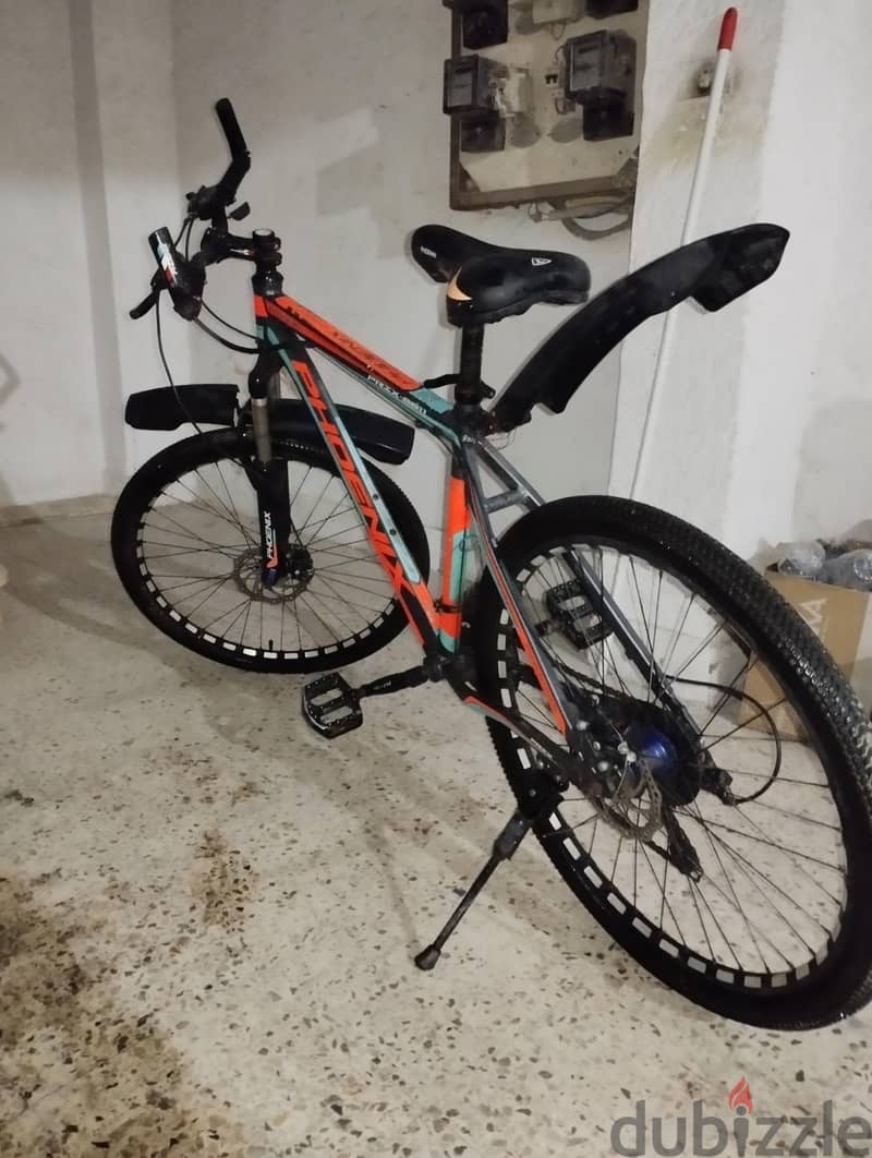 Phoenix mountain BICYCLE 1