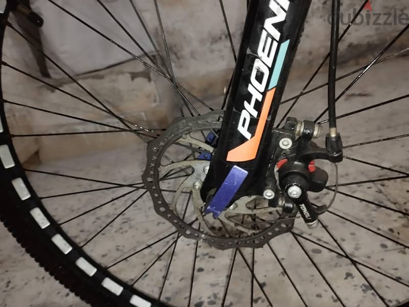 Phoenix mountain BICYCLE 2