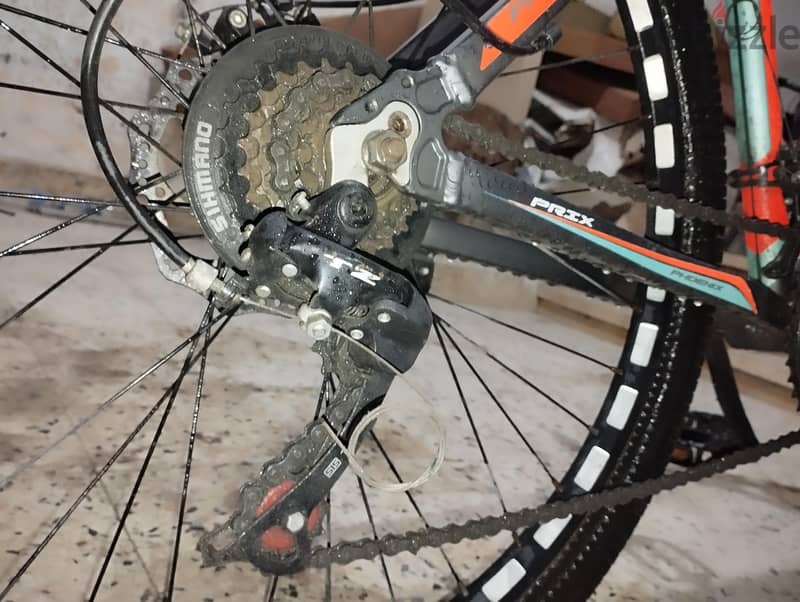 Phoenix mountain BICYCLE 4