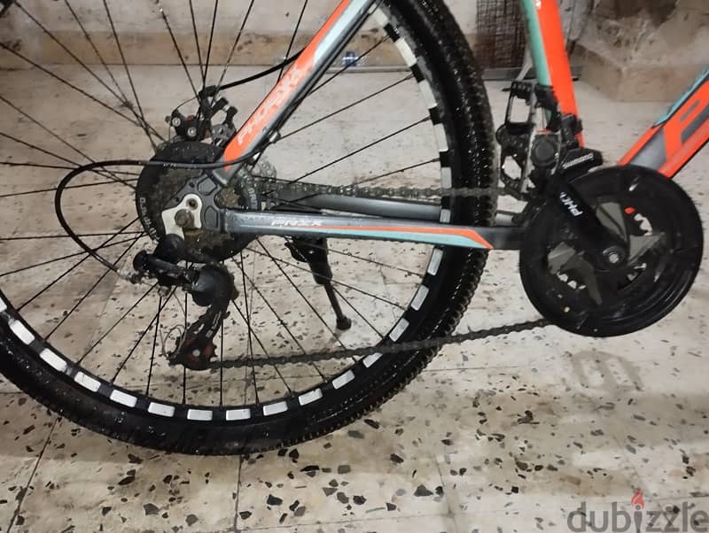 Phoenix mountain BICYCLE 5