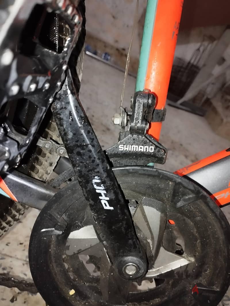 Phoenix mountain BICYCLE 6